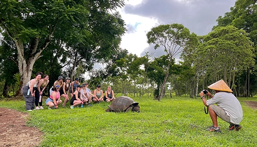 Galapagos giant tortoises.