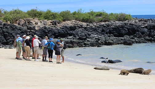 Tourist next to sea lions.