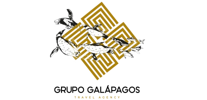 Grupo Galapagos logo.